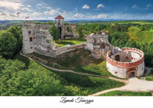 Tenczyn Castle
