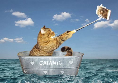Catanic