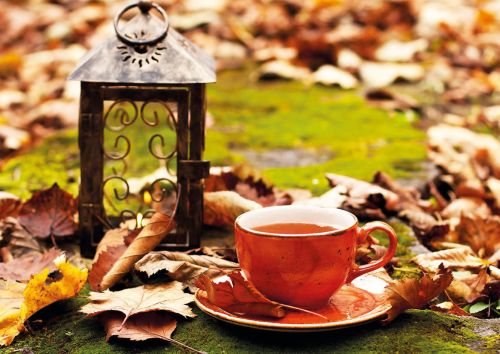 Autumn mood
