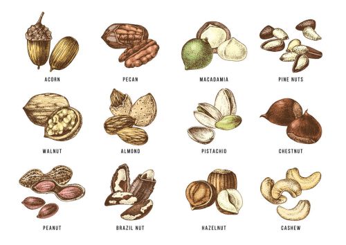 Nuts
