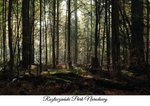 Rotoczański National Park