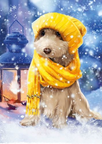 Winter puppy