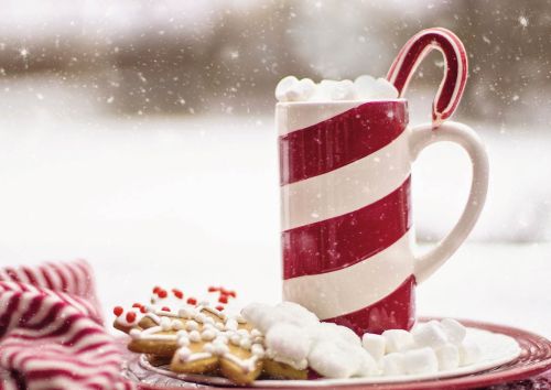 Cocoa