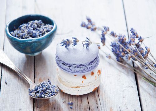 French macarons with lavender