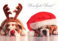 Folded card - Christmas