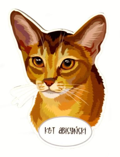 Magnet: Abyssinian Cat