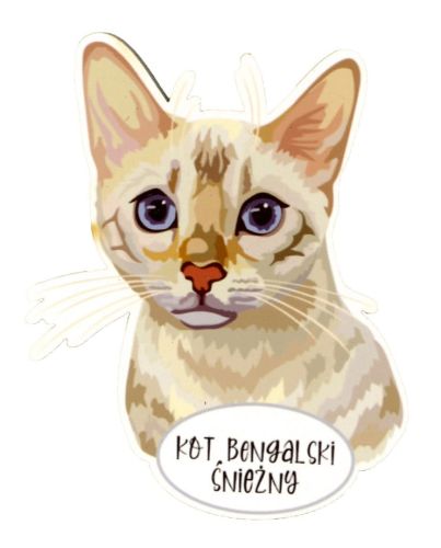 Magnet: Snow Bengal Cat