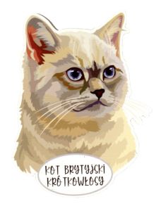 Magnet: British Shorthair Cat