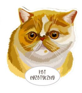 Magnet: Exotic Shorthair Cat