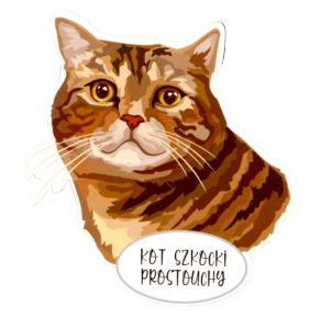 Magnet: Scottish Straight Cat