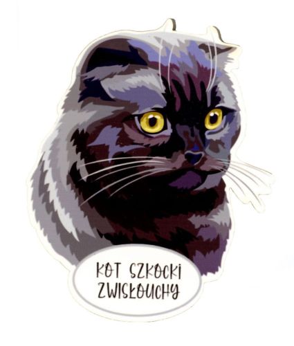 Magnet: Scottish Fold Cat