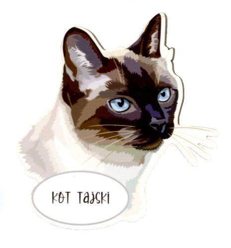 Magnet: Thai Cat