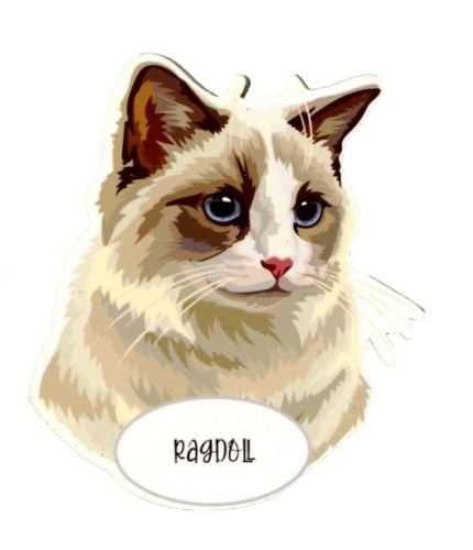 Magnet: Ragdoll Cat