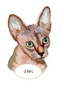 Magnet: Sphynx Cat