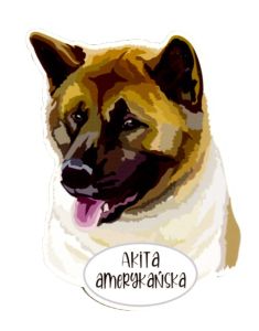 Magnet: American Akita