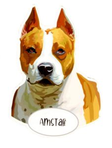 Magnet:  AmStaff