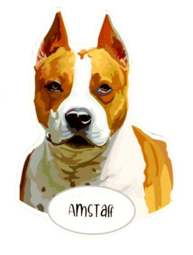 Magnet: AmStaff