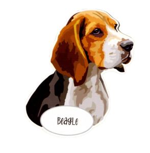 Magnet: Beagle