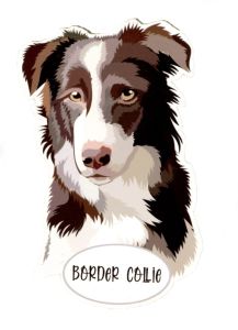 Magnet: Border Collie