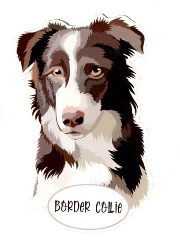 Magnet: Border Collie