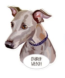 Magnet: Italian Greyhound