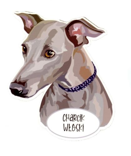 Magnet: Italian Greyhound