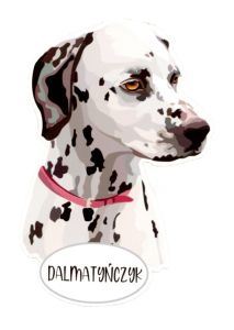 Magnet: Dalmatian