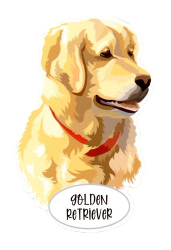 Magnet: Golden Retriever