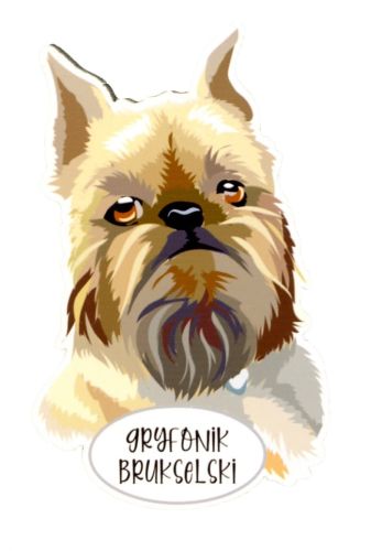 Magnet: Brussels Griffon