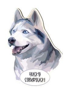 Magnet: Siberian Husky