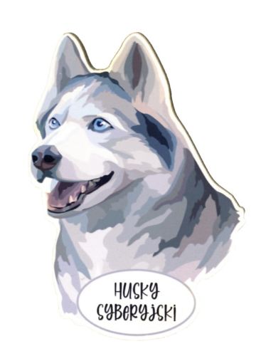 Magnet: Siberian Husky