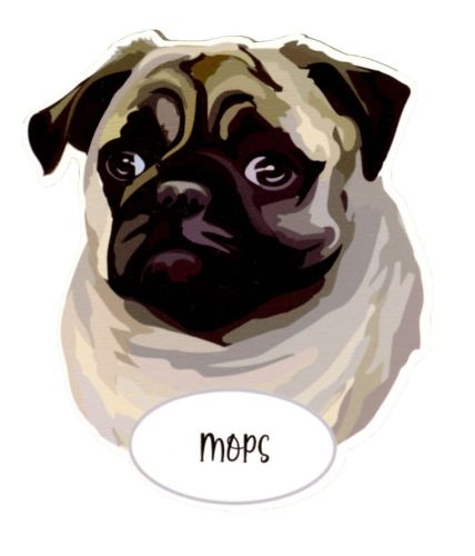 Magnet: Pug