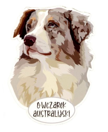 Magnet: Australian Shepherd
