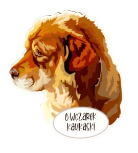 Magnet: Caucasian Shepherd