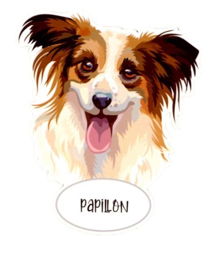 Magnet: Papillon