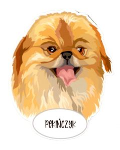 Magnet: Pekingese