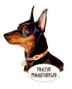 Magnet:  Miniature Pinscher