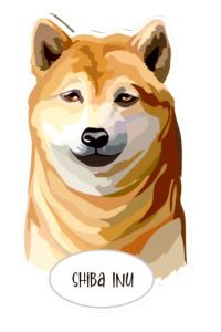 Magnet: Shiba Inu