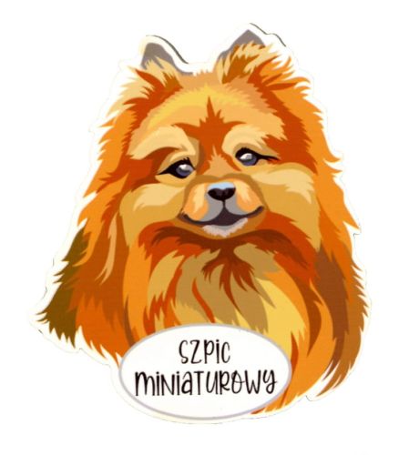 Magnet: German Spitz