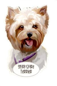 Magnet: Yorkshire Terrier