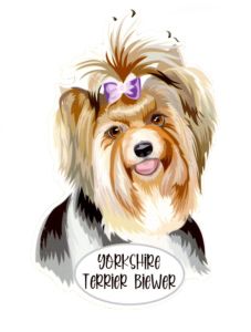Magnet: Biewer Terrier