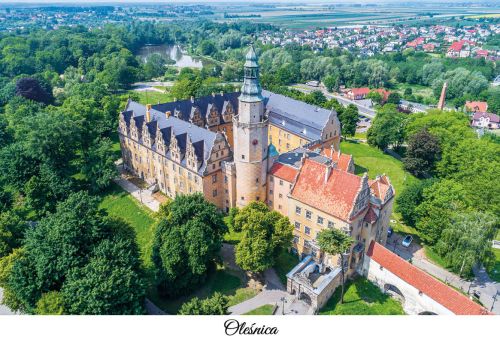 Castle in Oleśnica