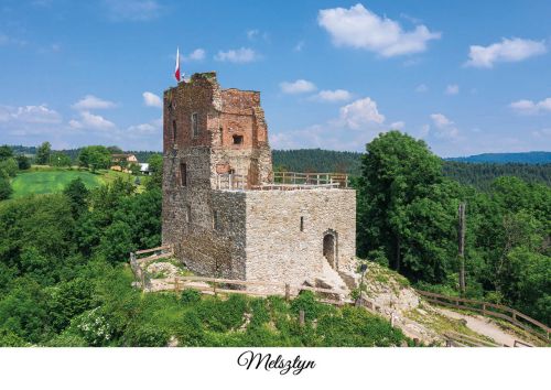 Castle in Melsztyn