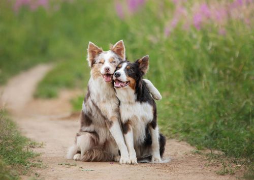 Friendship