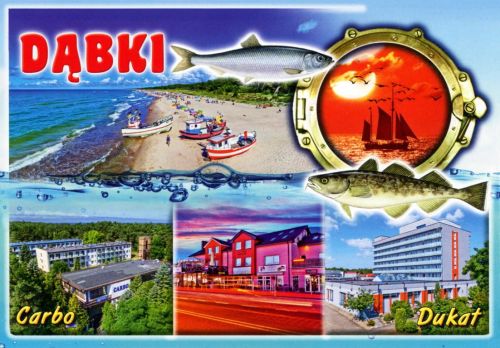 Dąbki
