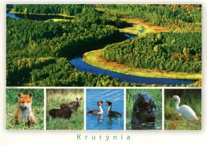 Krutynia