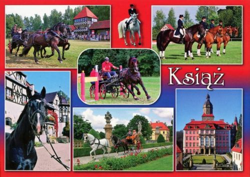 Książ Castle