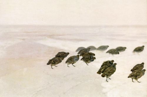 Chełmoński Józef - Partridges