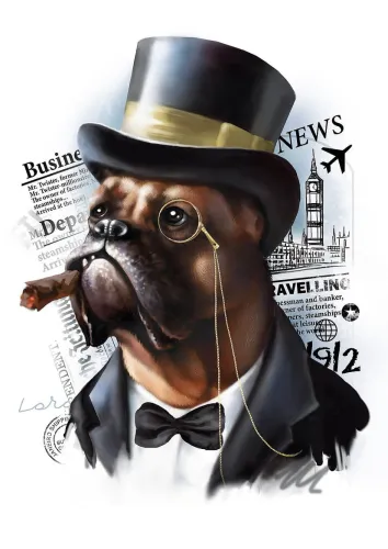 Boxer the aristocrat
