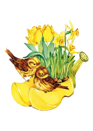 Daffodils